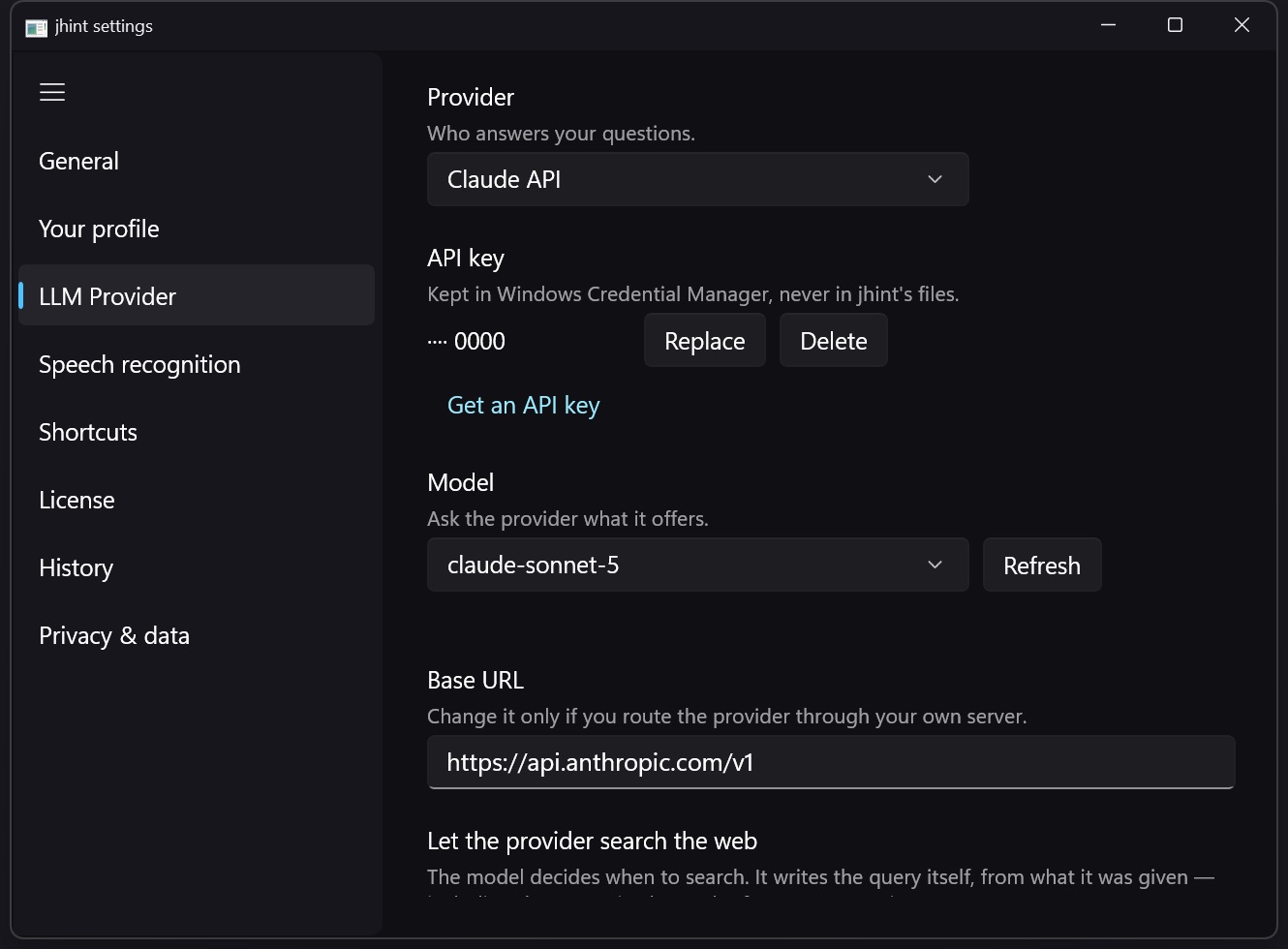 The LLM Provider tab with an external provider selected: model list and the key field.